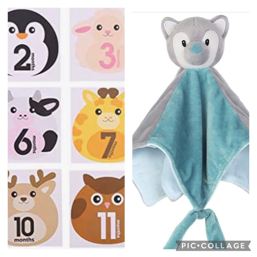 Milestone Monthly Stickers & Boritar Baby Blanket